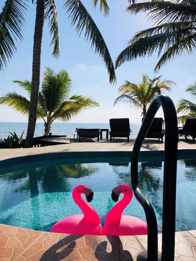 Coral Cove Inn Maya Beach Kültér fotó