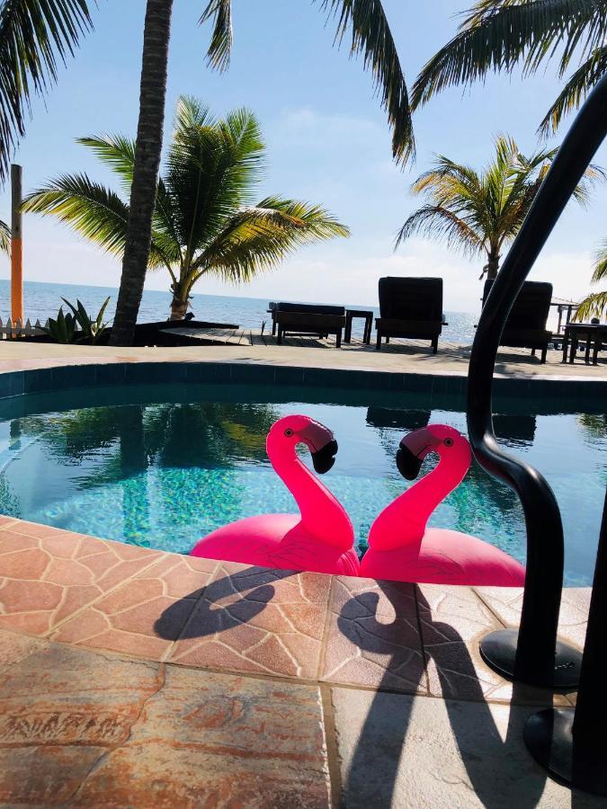 Coral Cove Inn Maya Beach Kültér fotó